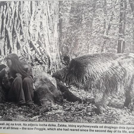 In Nature Bialowieza Exterior photo