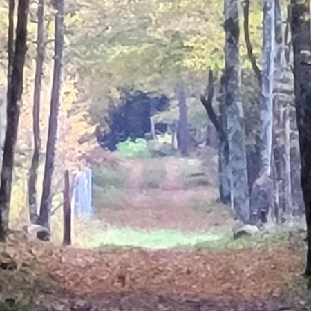 In Nature Bialowieza Exterior photo