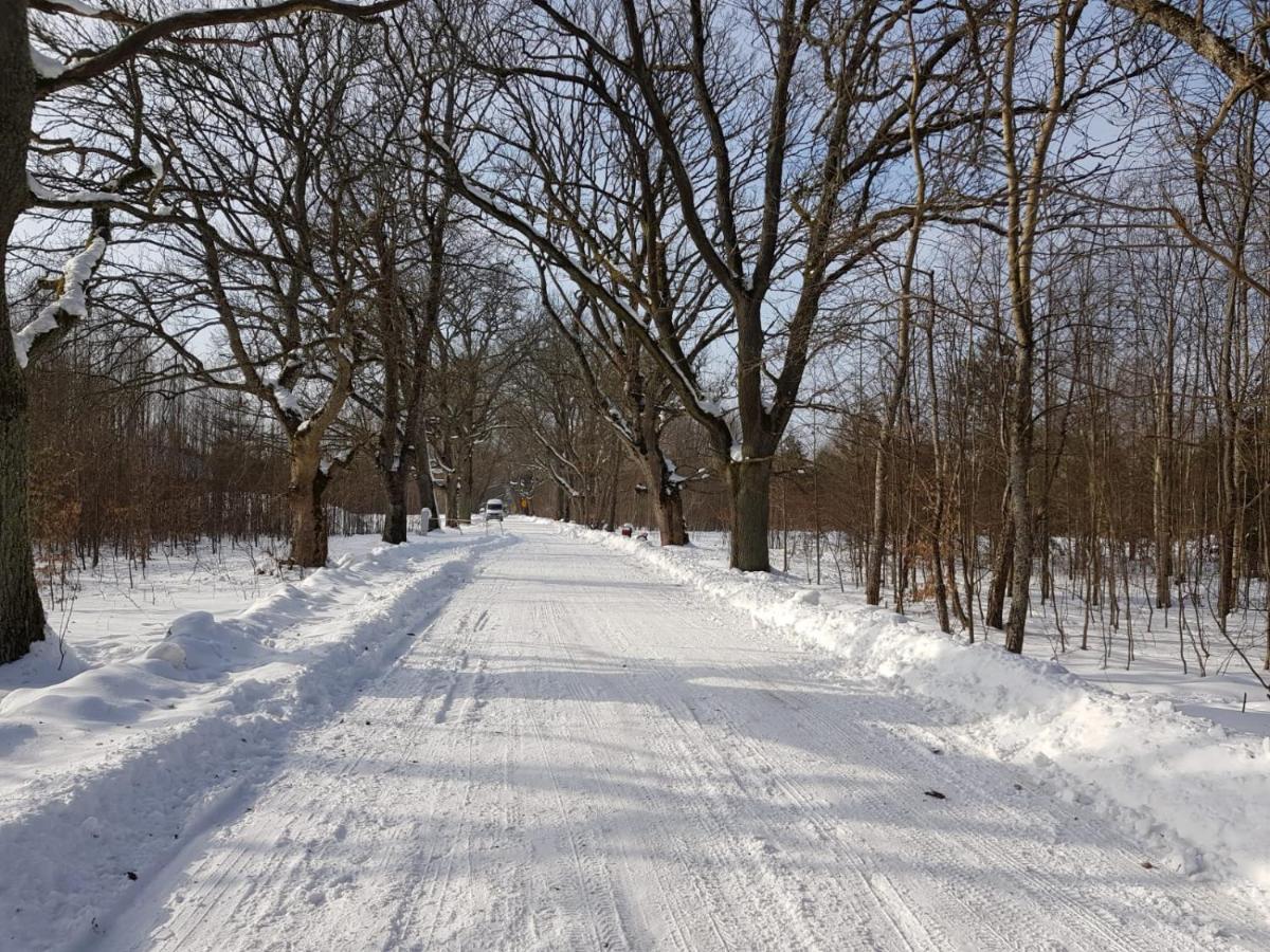 In Nature Bialowieza Exterior photo