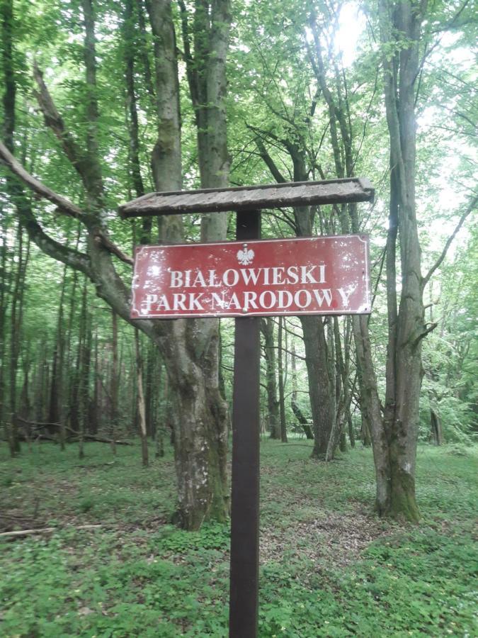 In Nature Bialowieza Exterior photo