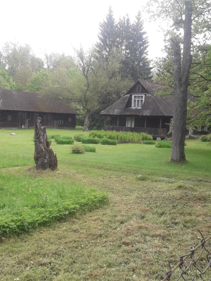 In Nature Bialowieza Exterior photo